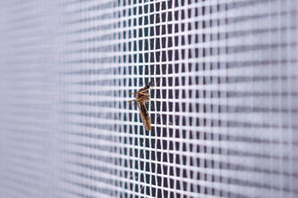 Bild zu Produkte Zubehör