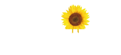 Logo Fenster Striegel